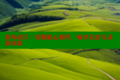 海角社区：客服贴心相伴，畅享私密互动新体验