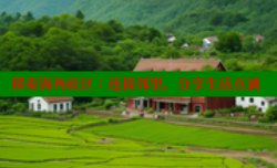 探索海角社区：连接邻里，分享生活点滴