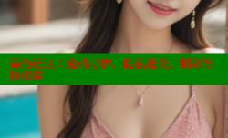 海角社区：密码守护，隐私社交，精彩等你探索