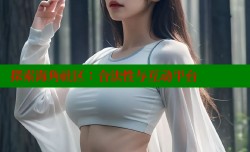 探索海角社区：合法性与互动平台