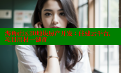 海角社区20地块房产开发：住建云平台，项目用材一键查