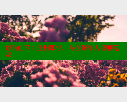 海角社区：注册即享，与全球华人畅聊无限 海角平台 第1张