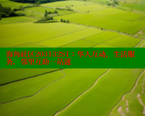 海角社区20313281：华人互动，生活服务，邻里互助一站通 海角论坛 第1张